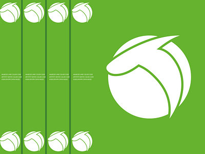 Full Branding Design for Tennis Company