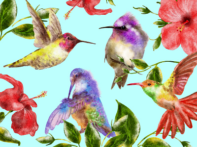 Cute Watercolor Hummingbirds and Hibiscus Flowers beautiful bright colorful clip art digital watercolor procreate hand painted hummingbirds hummingbirds clip art hummingbirds graphic design illustration nature png purple red summer summer flowers clip art tropic tropical birds illustrations watercolor watercolor birds illustrations wildlife