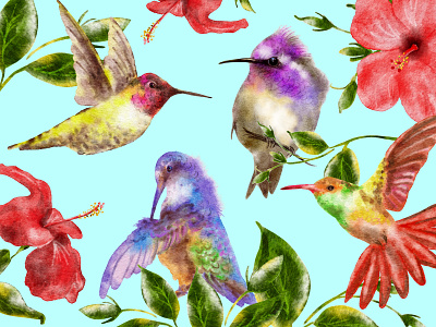 Cute Watercolor Hummingbirds and Hibiscus Flowers