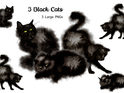 Digital Watercolor with Procreate 3 Black Fluffy Cats black and white watercolor black cats clip art black cats png black fluffy cats grpahic digital watercolor animals watercolor black cats watercolor pet animals