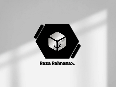 Developer logo design branding logo