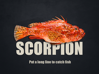 Scorpion Fish black fish ps realistic red scorpion super ui