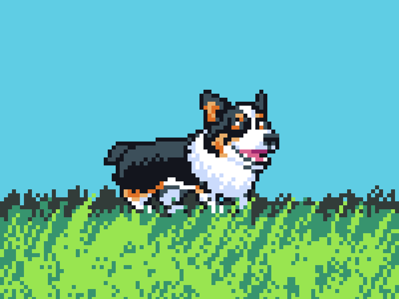 Corgi animation corgi pixel pixel art pixelart