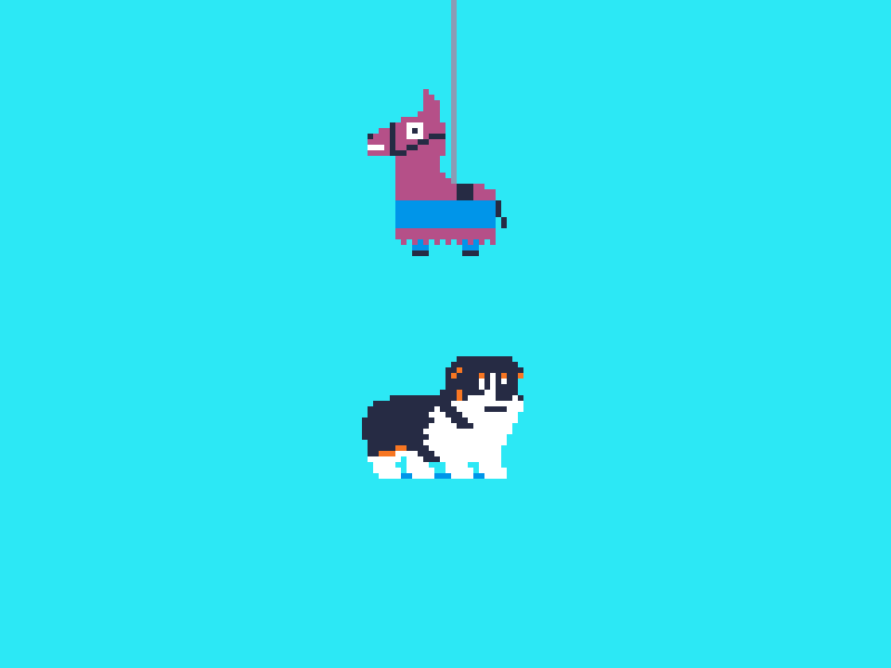55 Pinata 8bit animation corgi dog jumping pinata pixel dailies pixelart piñata retro treats ドット絵