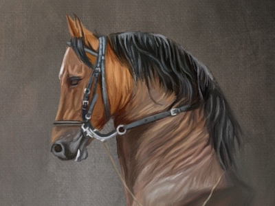 Digital Painting on iPad pro animal art digital painting illustration oil painting procreate