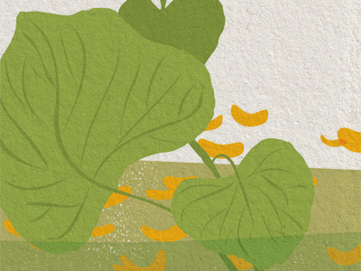 Marsh Marigolds flowers illustration invitation leaves marsh marigold texture