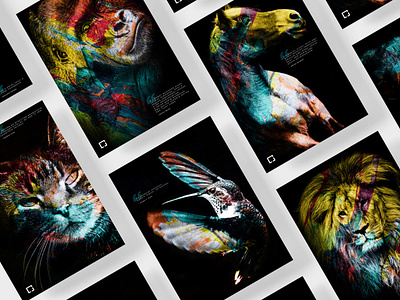 Free animals – Posters