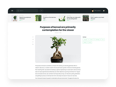 Plants website / desktop version / blog page aveiro blog blog design blog page bonsai dailyui desktop desktop design elvas freelancer graphic designer layout minimal minimalism minimalist plants topics ui designer ui ux website design