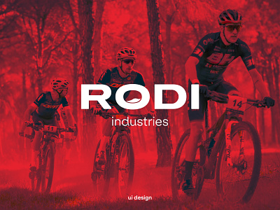 RODI Industries website
