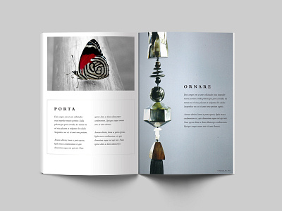 Branding Concept book branding identity magazine visual design