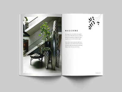 Branding Concept book branding identity illustration magazine visual design