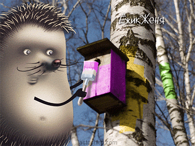 nesting_box animation hedgehog