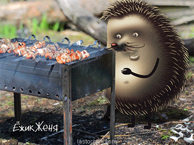 Picnic animation hedgehog