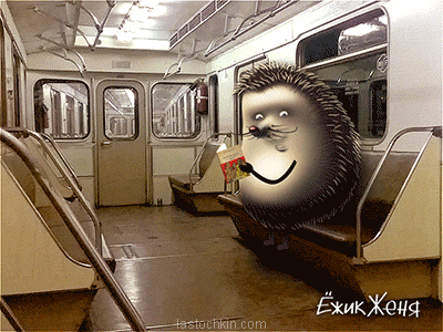 Metro animation hedgehog