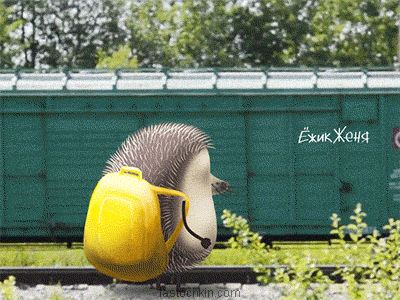 Train animation hedgehog
