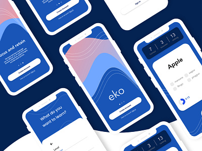 eko concept app app branding design illustration typography ui ux