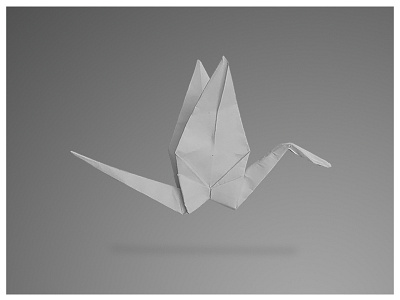 Origami Print for VKNagrani New York