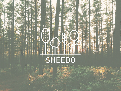 SHEEDO (Campaña De Realidad Virtual) branding campaign graphic design startup