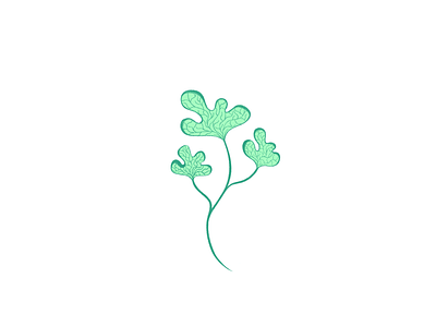 PLANT cute flower illustration kawaii plant