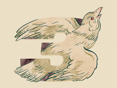 ATC Artist Series - Duel Rounded Italic animal astropad bird digital illustration ipad pro