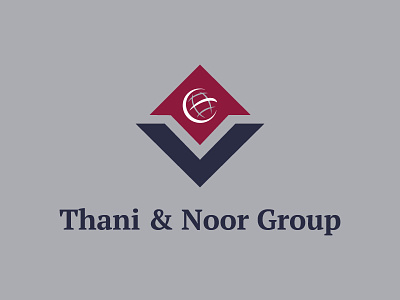 Thani and Noor export import company logo