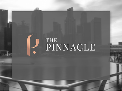 The Pinnacle black construction design graphic logo metallic pinnacle white