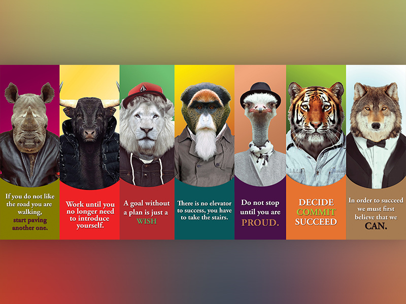 Meeting Room MEADIS concept meetingroom quotes manipulation animals pop creative graphic design vinyl