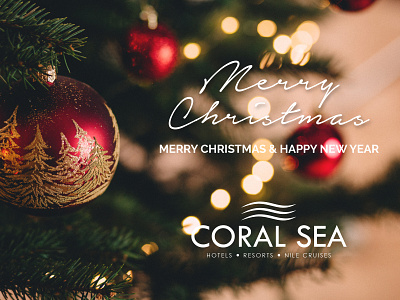 Christmas Greeting Coral Sea calligraphy christian design christmas coral digital graphic greeting handwritting hotel layout media photography sea social typography xmas