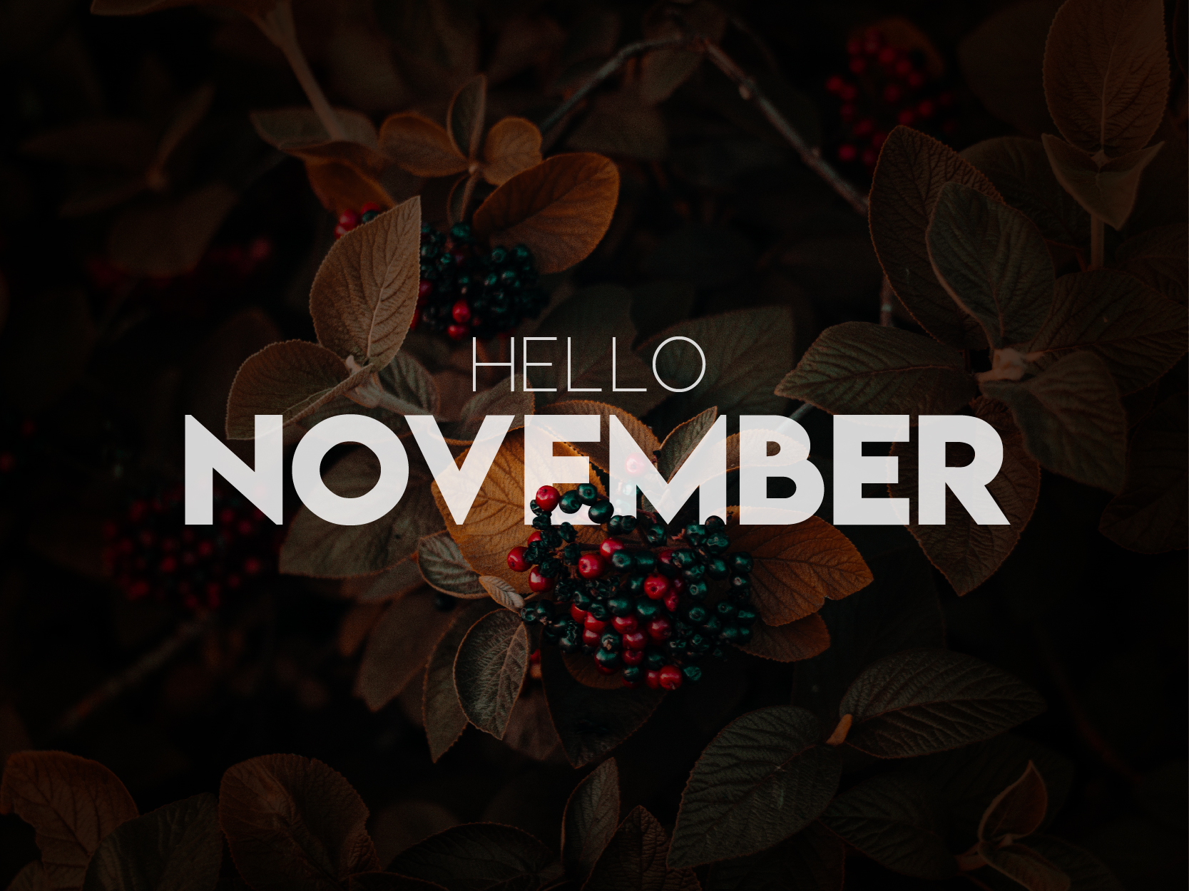 November. Hello November. Хелло ноябрь. Hello November картинки. Хелло ноябрь надпись.