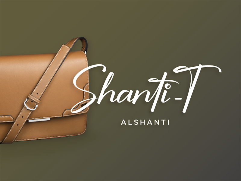 Shanti-T logo design fashion branding concept calligraphy logo graphic design bag