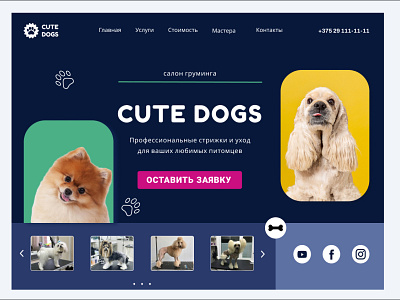 Grooming salon Cute Dogs design ui