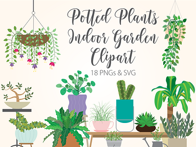 Potted Plants Indoor Garden Clipart