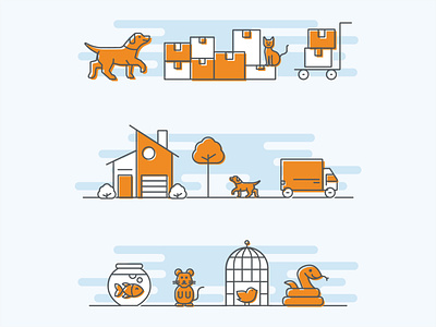 Moving With Pets bird branding cat dog fish icon icons iconset illustration illustrator mouse snake vector web