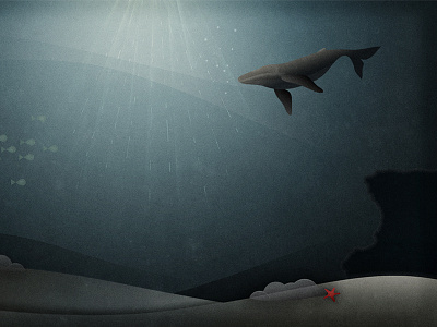 Into the Depths fish illustration star underwater water whale