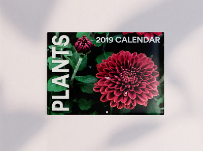 Plant Wall Calendar calendar calendar design flowers graphic design photography plants wall calendar