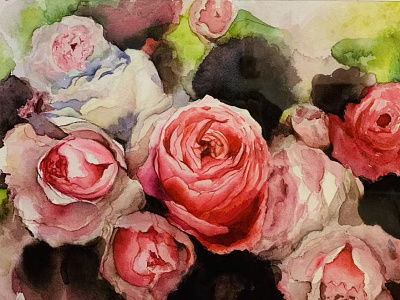 Roses watercolour