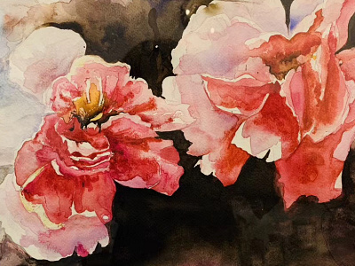 Peony flowers watercolour