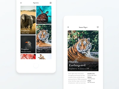 World Wildlife Fund Concept animals clay conservation gallery ios minimal white wwf