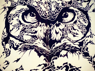 Owl drawing hand drawn illustration owl sketch