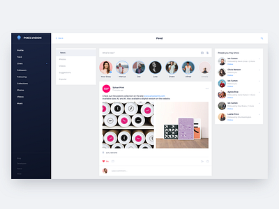 Pixelvision Profile page design feed friends like news photos social social network stories story ui ux