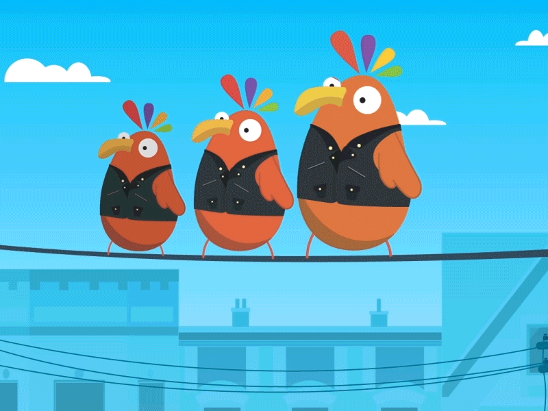 Rock`n roll parrots. after effects animation motiongraphics parrot shade