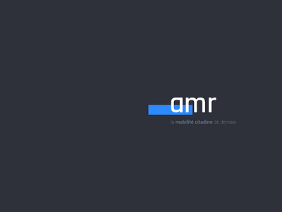 AMR Project - teaser