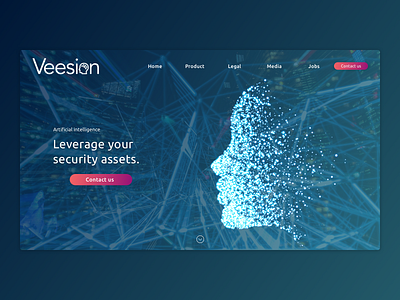 Veesion - Website