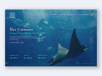 Concept - Club de plongée international 2/3 diver diving fullscreen océan onepage plongeurs plongée sea ux web website builder website concept