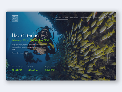 Concept - Club de plongée international diver diving fullscreen plongeurs plongée sea sea creature ui ux web website concept