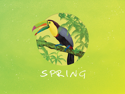 Spring - Toucan bird green spring toucan