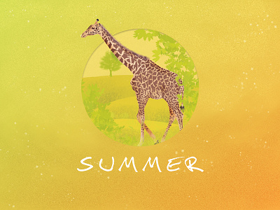 Summer - Giraffe animal giraffe summer yellow