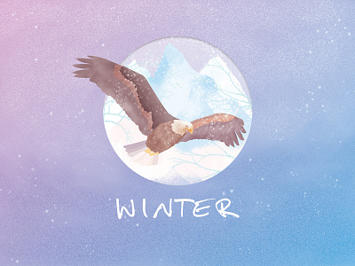Winter - eagle animal blue eagle winter