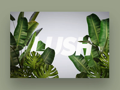 Lush - 01 3d after affects design interface jungle motion motion design parallax splash screen splashpage