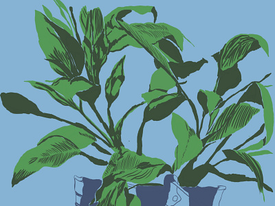 Planty design illustration